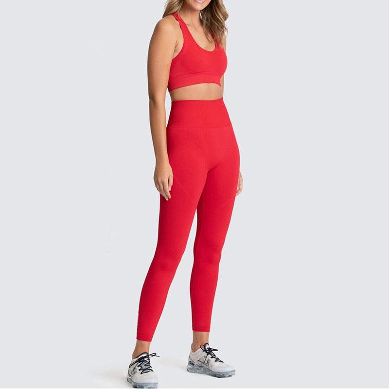 Conjunto de sutiã de tricô roupas esportivas para ginástica e exercícios femininos sem costura - Cia Brax 